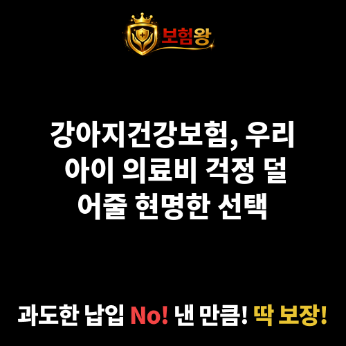 강아지건강보험