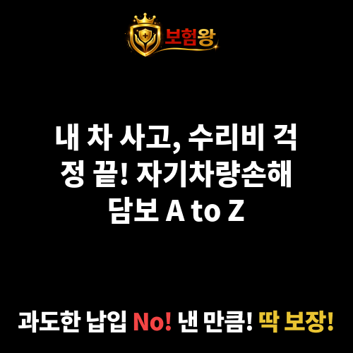 자기차량손해담보