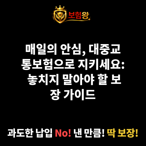 대중교통보험
