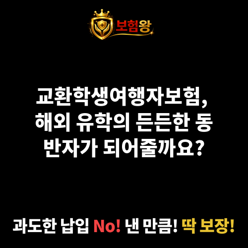 교환학생여행자보험