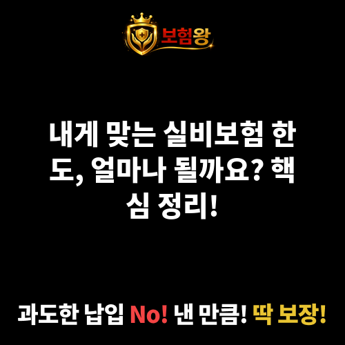 실비보험한도