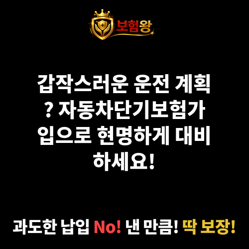 자동차단기보험가입