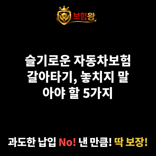 자동차보험갈아타기