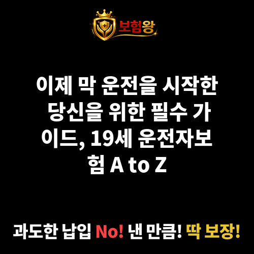 만19세운전자보험