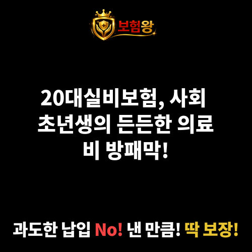20대실비보험