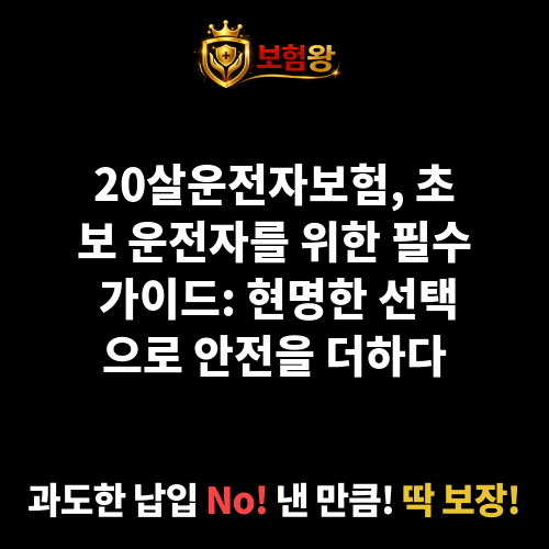 20살운전자보험