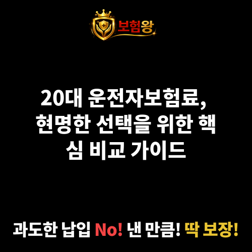 20대운전자보험료