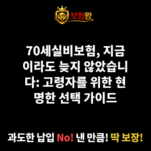 70세실비보험