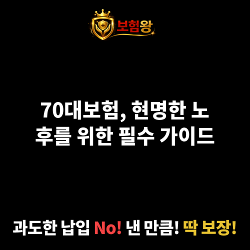 70대보험