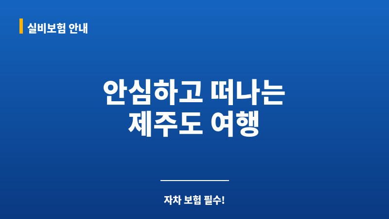 제주도자차 보조 이미지