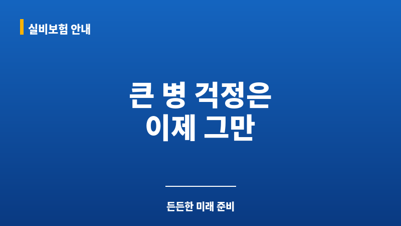 3대질환보험 보조 이미지 3대질환보험 보조 이미지