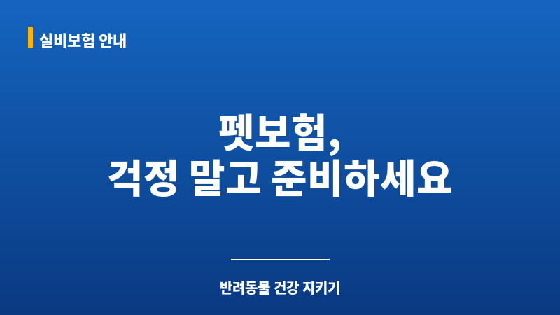 펫보험후기 보조 이미지