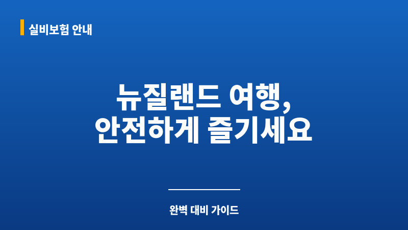 뉴질랜드여행자보험 보조 이미지