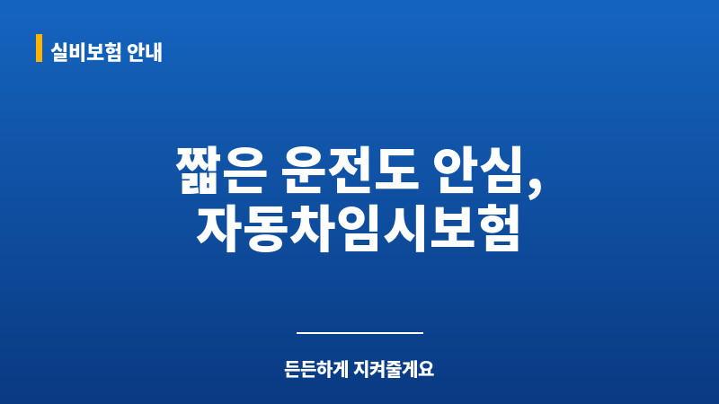 자동차임시보험 보조 이미지 자동차임시보험 보조 이미지