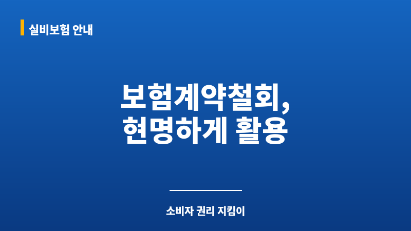 보험계약철회 보조 이미지 보험계약철회 보조 이미지