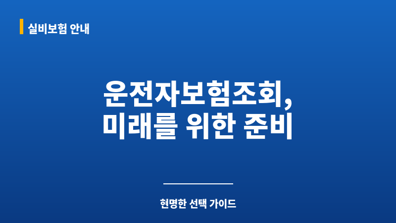 운전자보험조회 보조 이미지 운전자보험조회 보조 이미지