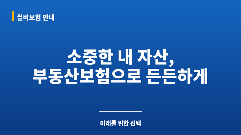 부동산보험 보조 이미지