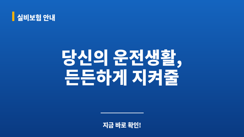 운전자보험자차 보조 이미지