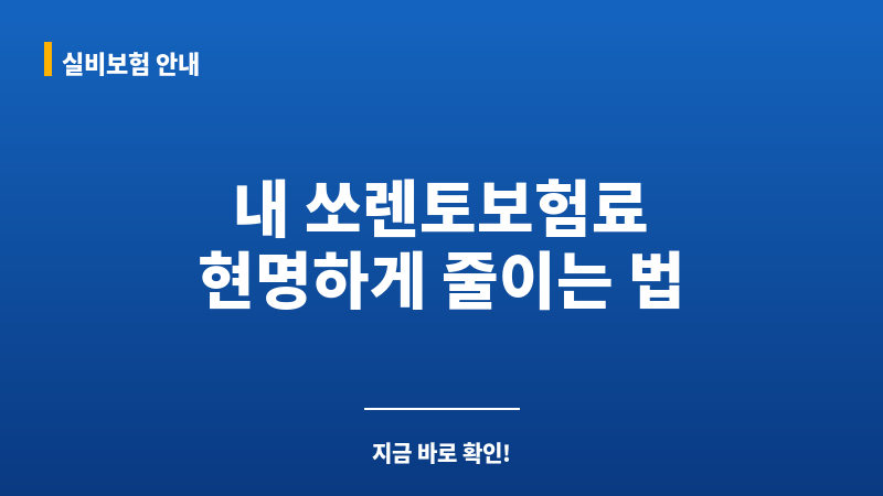 쏘렌토보험료 보조 이미지