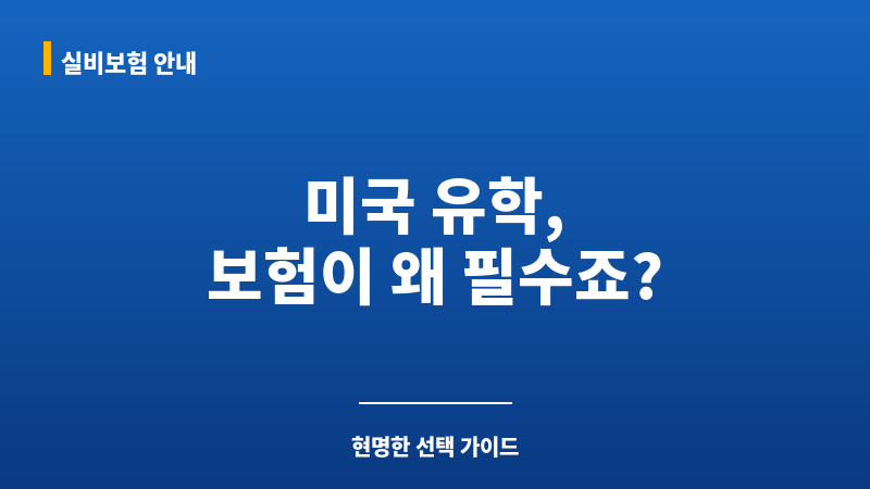 미국교환학생보험 보조 이미지