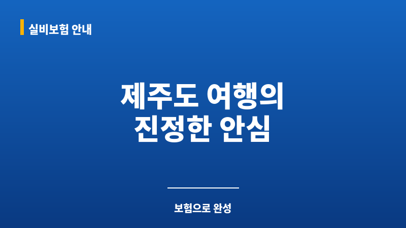 제주도보험 보조 이미지