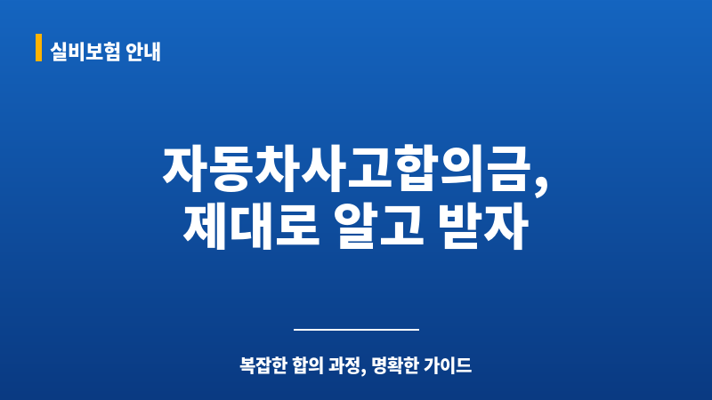 자동차사고합의금 보조 이미지