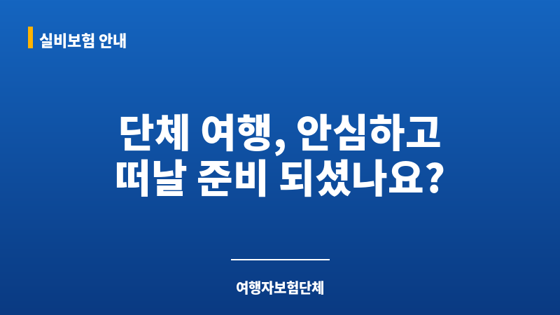 여행자보험단체 보조 이미지