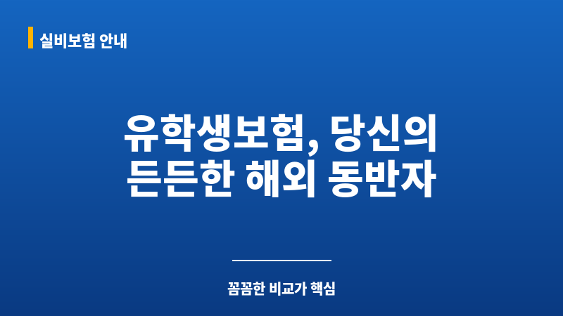 유학생보험비교 보조 이미지 유학생보험비교 보조 이미지