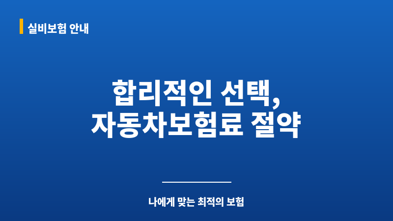 자동차보험료싼곳 보조 이미지