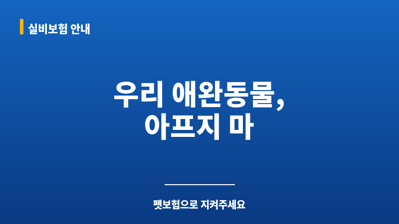 애완동물 보조 이미지 애완동물 보조 이미지