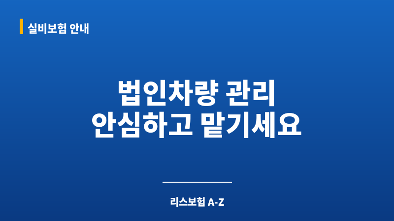 법인리스보험 보조 이미지