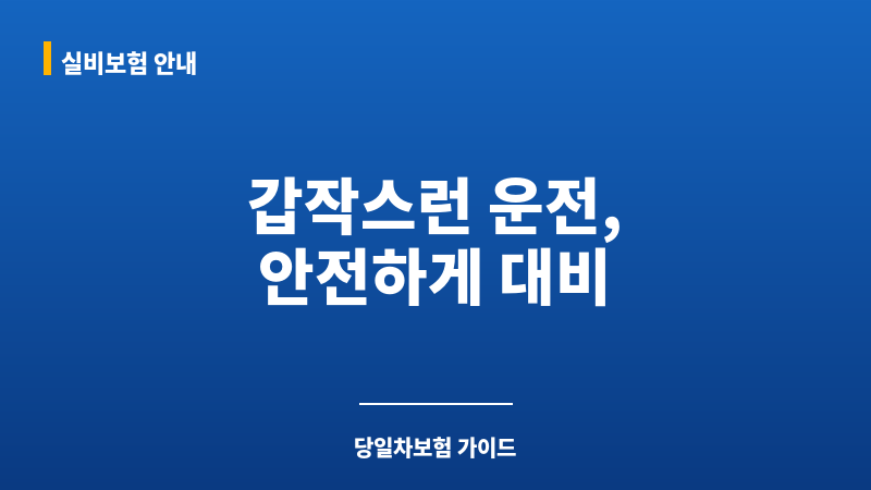당일차보험 보조 이미지 당일차보험 보조 이미지