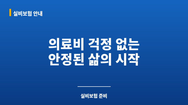 실비단독가입 보조 이미지