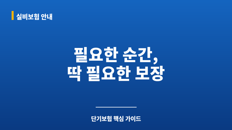 원데이보험추천 보조 이미지