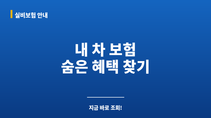 내자동차보험조회 보조 이미지