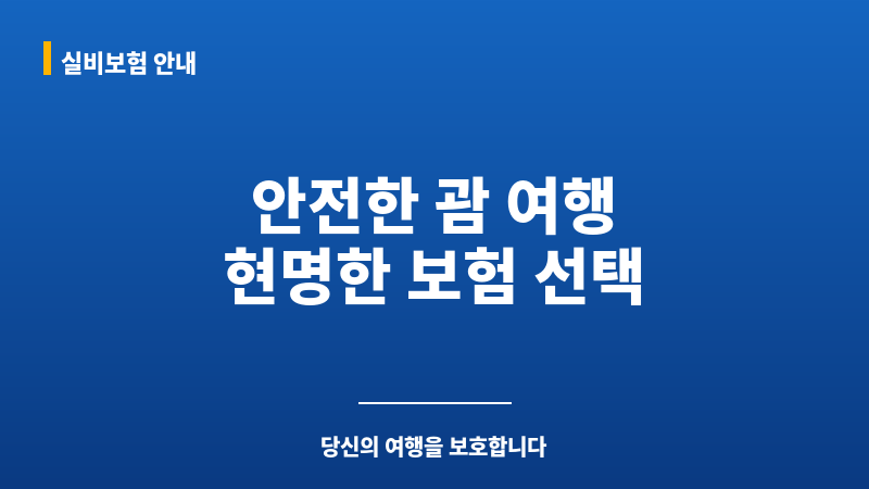 괌여행자보험추천 보조 이미지