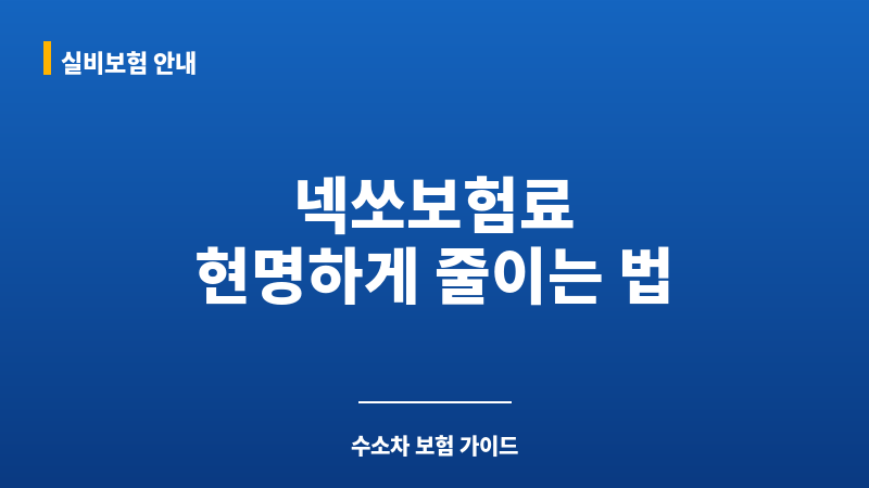 넥쏘보험료 보조 이미지 넥쏘보험료 보조 이미지