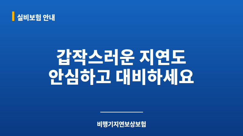 비행기지연보상보험 보조 이미지