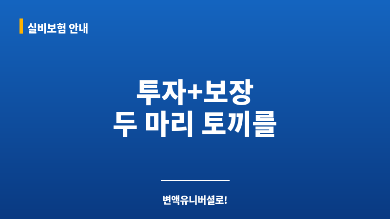 변액유니버셜 보조 이미지