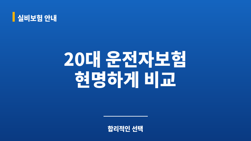 20대운전자보험료 보조 이미지