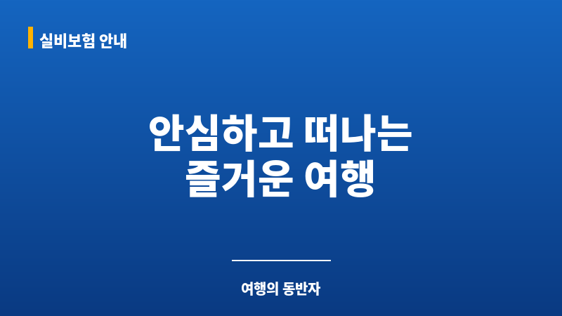 국내여행자보험가입 보조 이미지