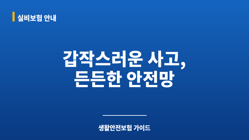 생활안전보험 보조 이미지