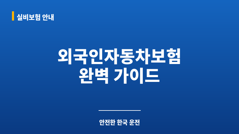 외국인자동차보험 보조 이미지