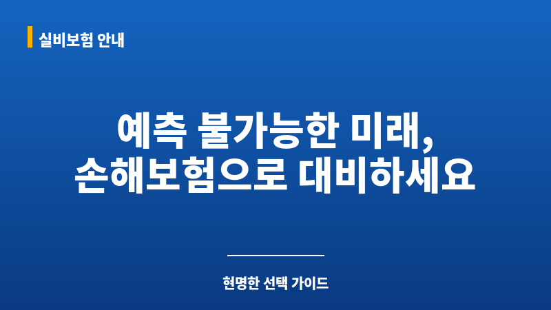 손해보험회사 보조 이미지
