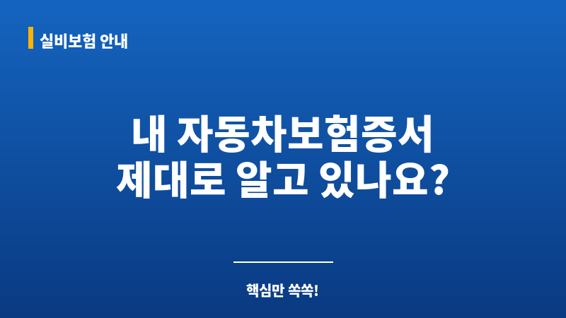 자동차보험증서 보조 이미지