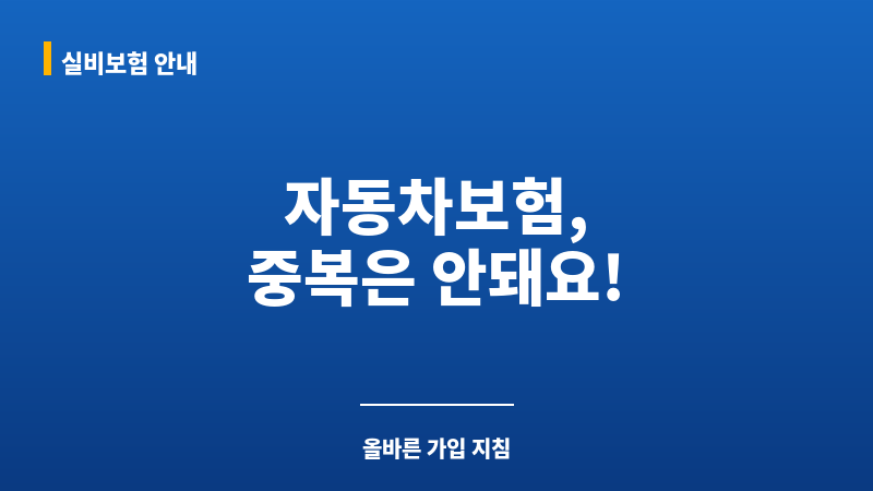 자동차보험중복가입 보조 이미지