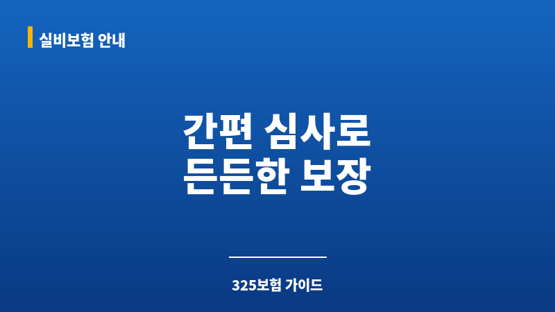 325보험 보조 이미지