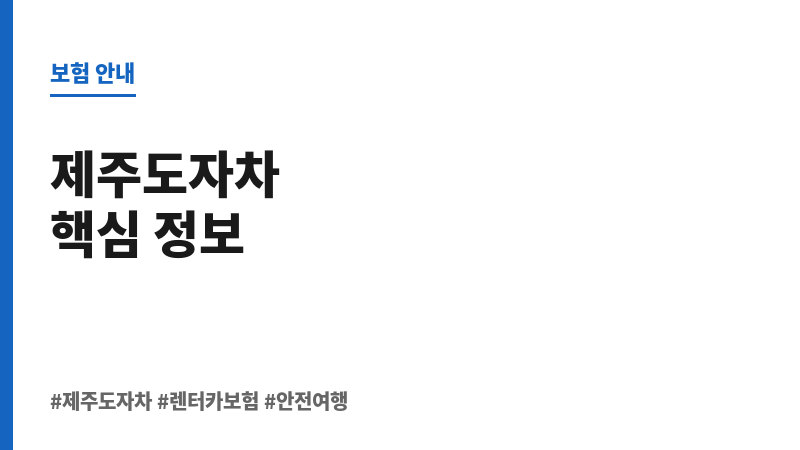 제주도자차 보조 이미지