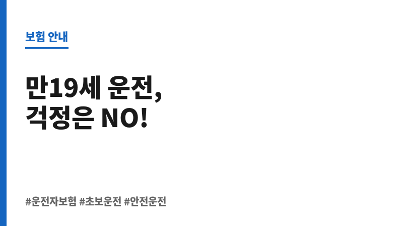 만19세운전자보험 보조 이미지