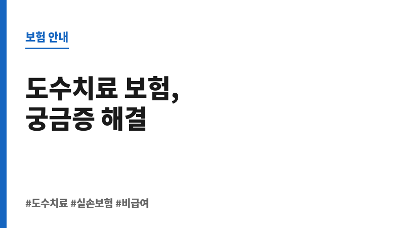 도수치료실손보험 보조 이미지